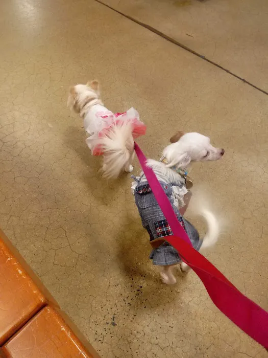 Banfield Pet Hospital Picture 6