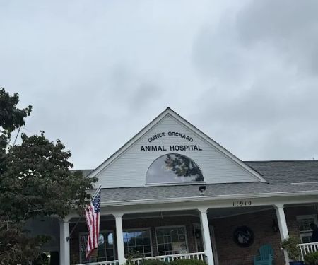 Quince Orchard Veterinary Hospital