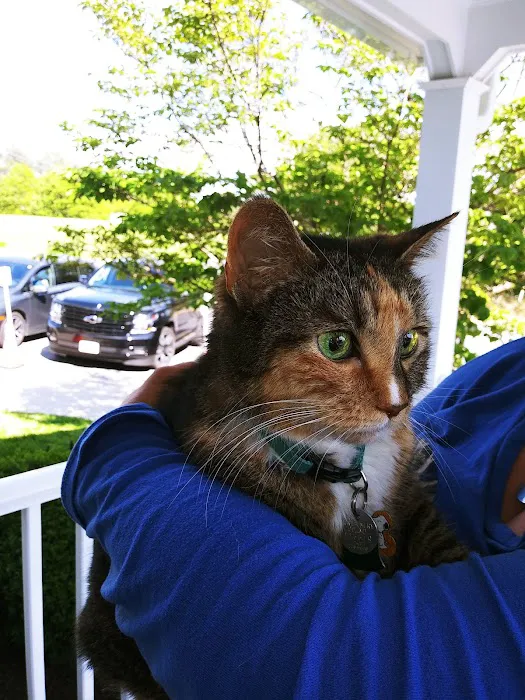 Quince Orchard Veterinary Hospital Picture 10