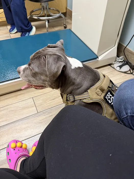 Fairland Animal Hospital Picture 3