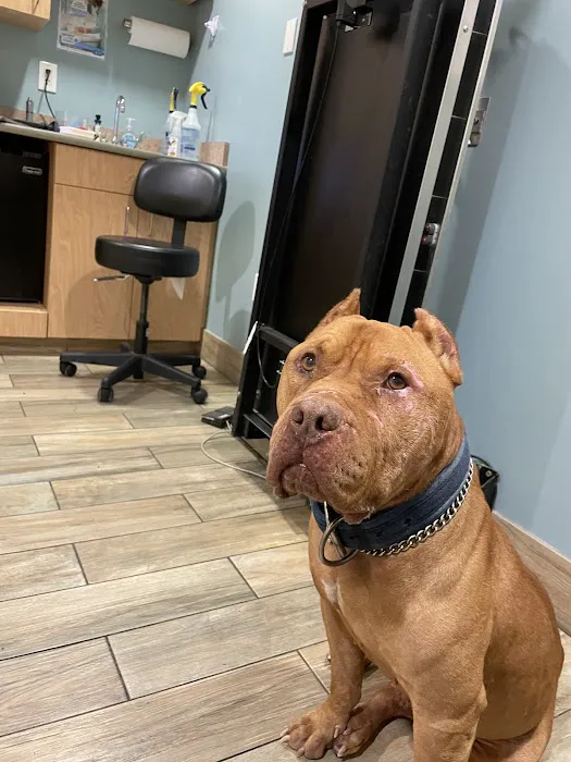 Fairland Animal Hospital Picture 8