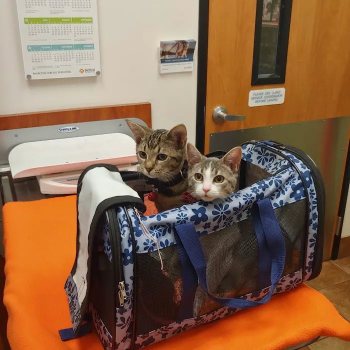 Banfield Pet Hospital Picture 5