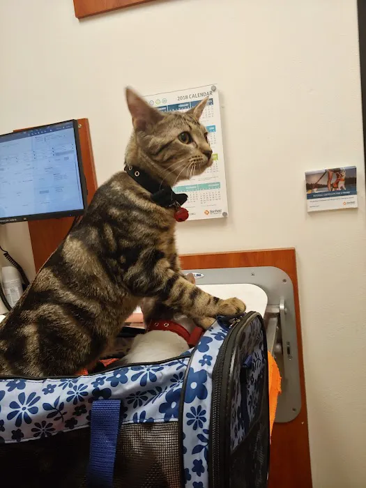 Banfield Pet Hospital Picture 8