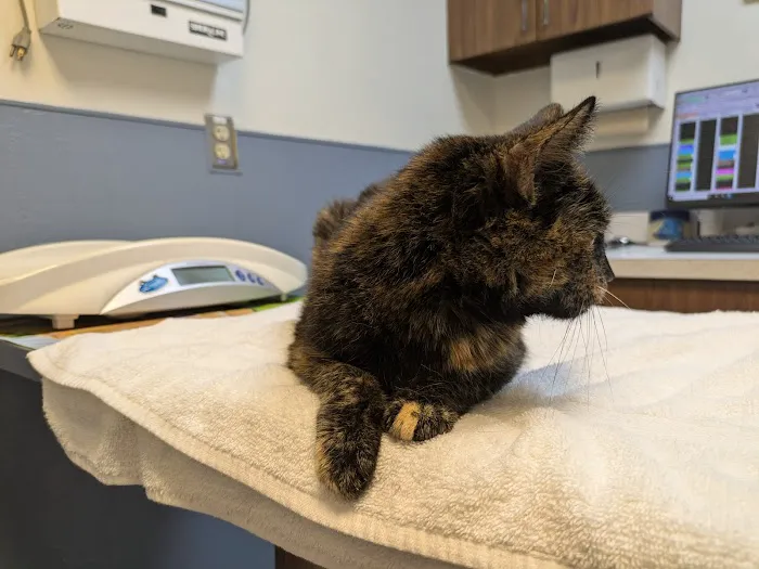 Beltsville Veterinary Hospital Picture 1