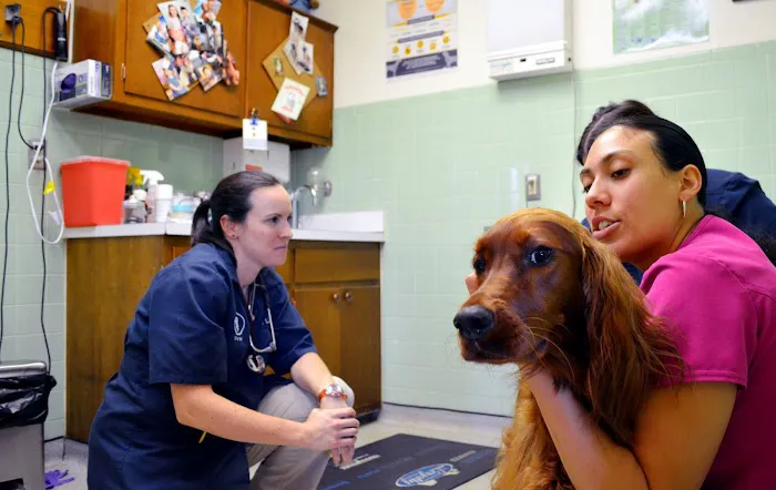 Beltsville Veterinary Hospital Picture 7