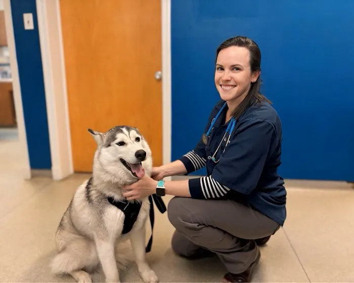 Beltsville Veterinary Hospital Picture 6