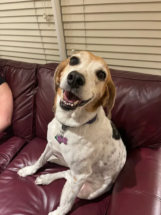 Kindness Animal Hospital Picture 1
