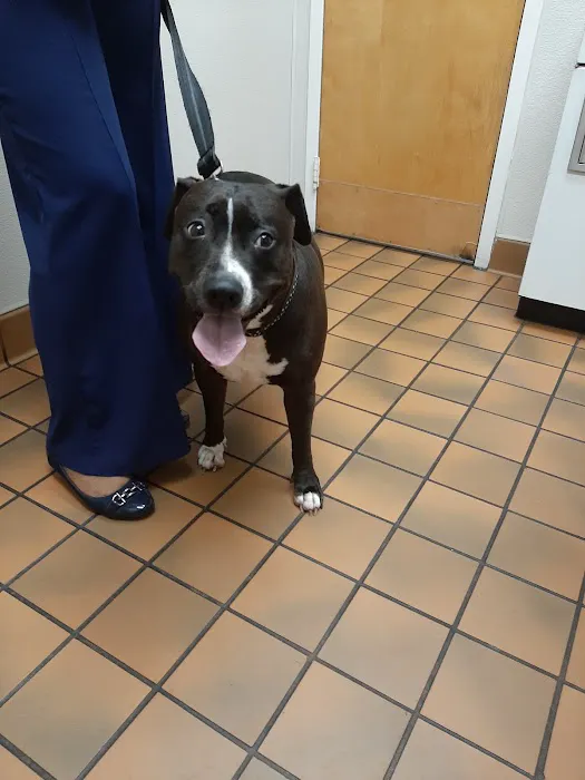 Kindness Animal Hospital Picture 6