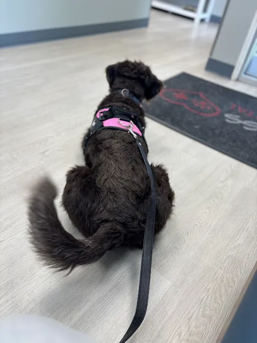 Kindness Animal Hospital Picture 8