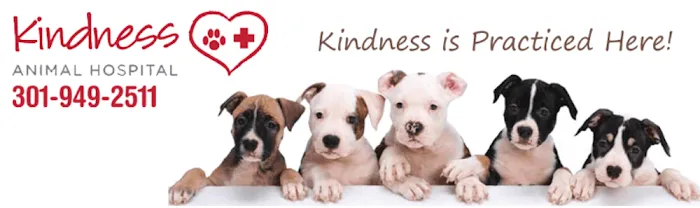 Kindness Animal Hospital Picture 9