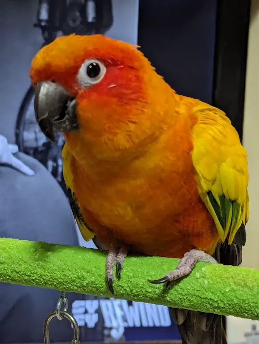 Wheaton Animal Hospital Picture 2