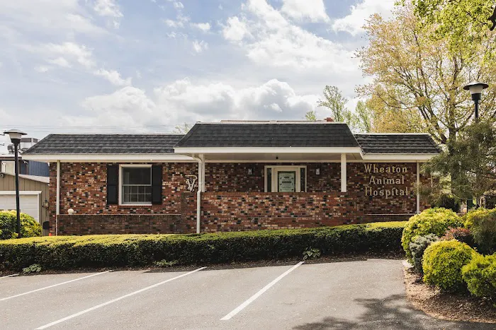 Wheaton Animal Hospital Picture 8