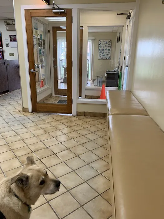 Wheaton Animal Hospital Picture 5