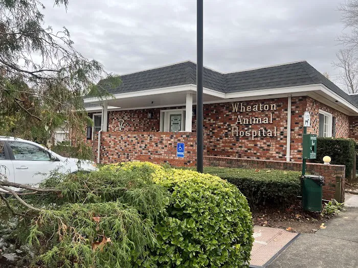 Wheaton Animal Hospital Picture 10