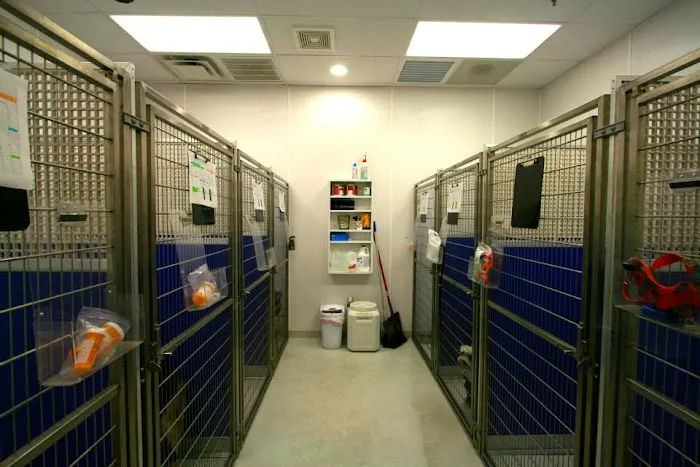 Muddy Branch Veterinary Center Picture 6