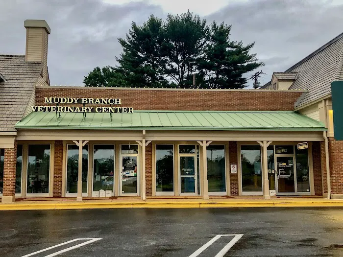 Muddy Branch Veterinary Center Picture 3