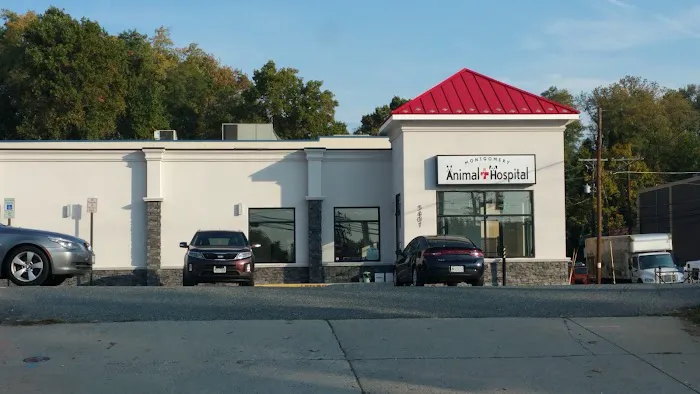 Montgomery Animal Hospital Picture 1