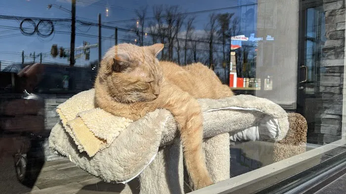 Montgomery Animal Hospital Picture 7