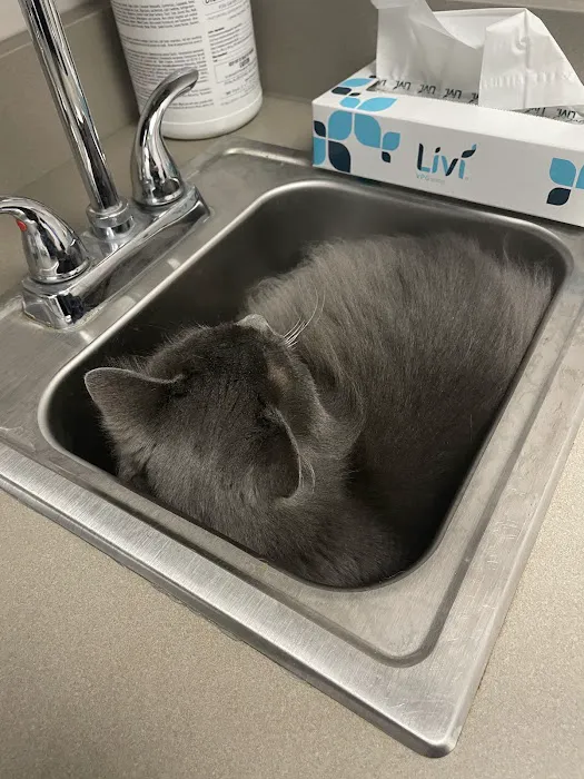 Montgomery Animal Hospital Picture 9