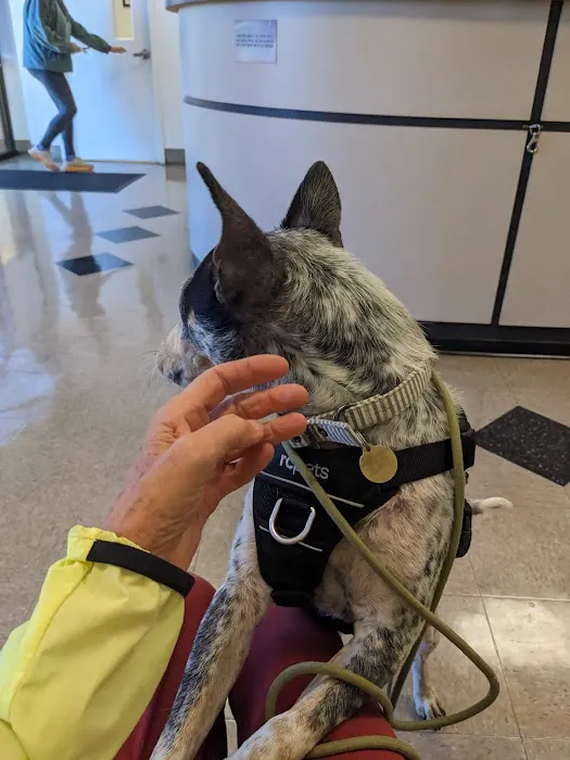 Nebel St. Animal Hospital Picture 1