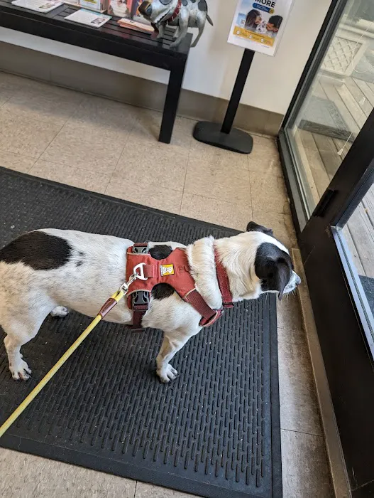 Nebel St. Animal Hospital Picture 9