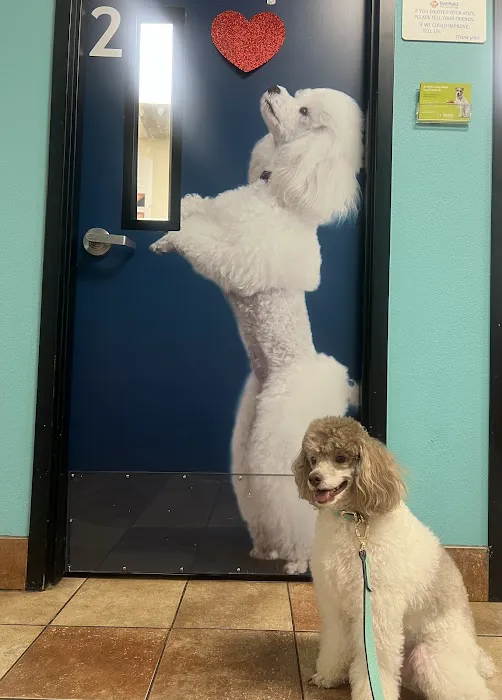 Banfield Pet Hospital Picture 3