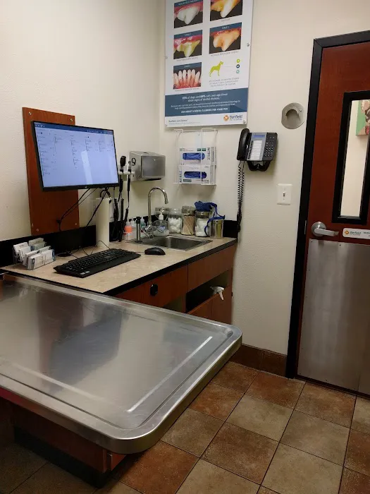 Banfield Pet Hospital Picture 5