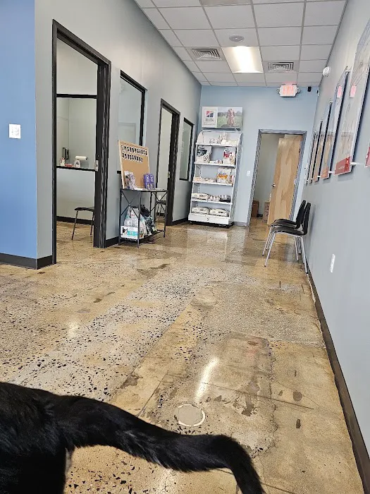 PetWellClinic - North Bethesda Picture 3