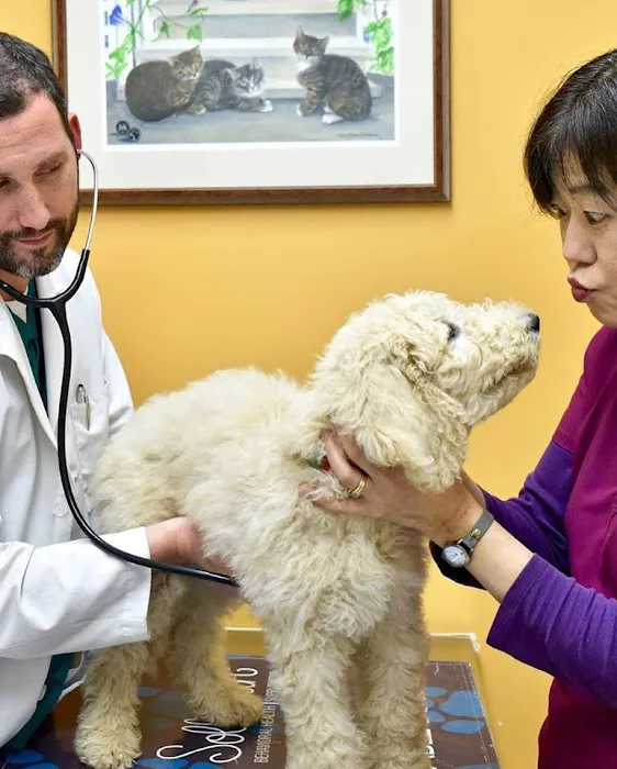 Woodley Gardens Veterinary Care Picture 3