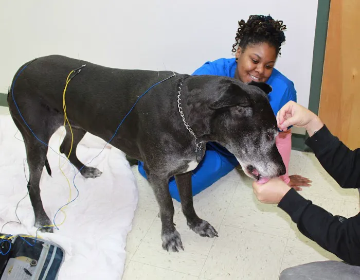 Woodley Gardens Veterinary Care Picture 9