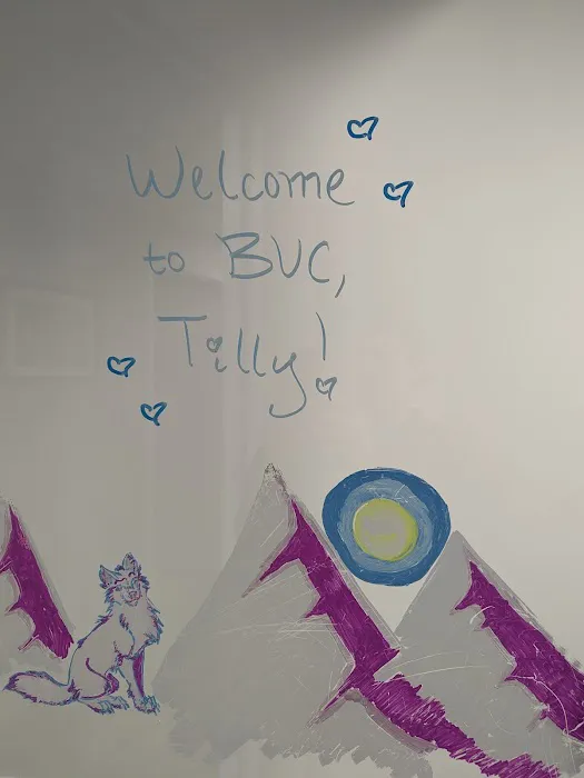 Balance Veterinary Center Picture 2
