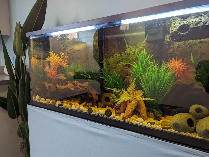 Balance Veterinary Center Picture 5