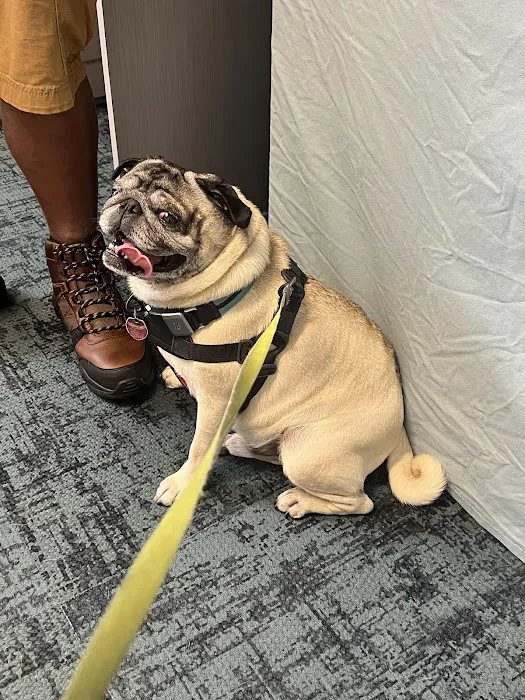 Balance Veterinary Center Picture 9