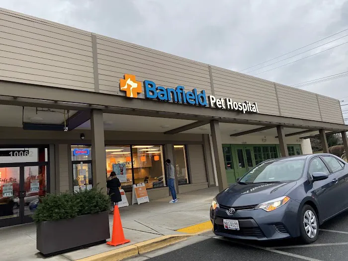 Banfield Pet Hospital Picture 3