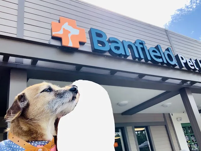 Banfield Pet Hospital Picture 5
