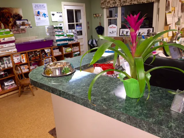 Maple Springs Veterinary Hospital Picture 9