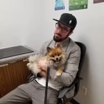 Maple Springs Veterinary Hospital: Harvey Elisa DVM