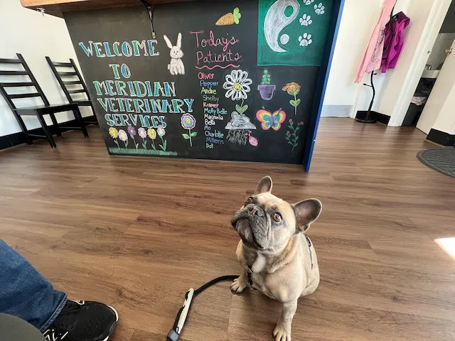 Meridian Veterinary Services Picture 1