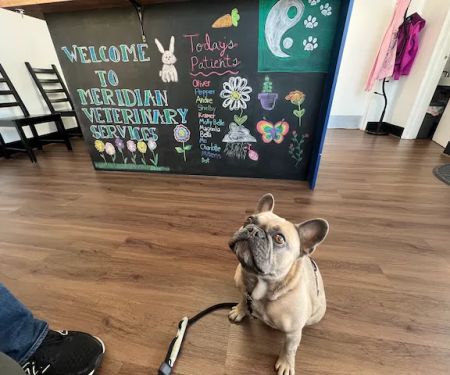 Meridian Veterinary Services