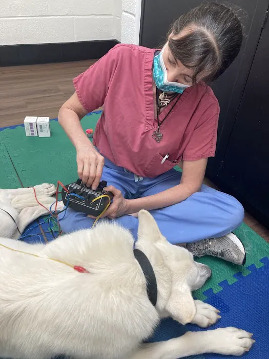 Meridian Veterinary Services Picture 5