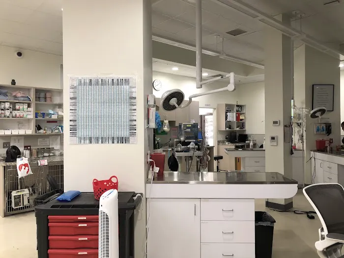 Metropolitan Animal Emergency and Specialty Center Picture 2
