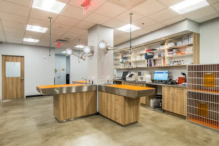 Dr. Boyd's Veterinary Resort Picture 5