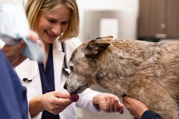 Veterinary Park Potomac Picture 5