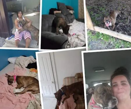 ZACHARY D CROUSE DVM