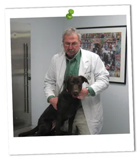Mercersburg Veterinary Clinic Picture 3