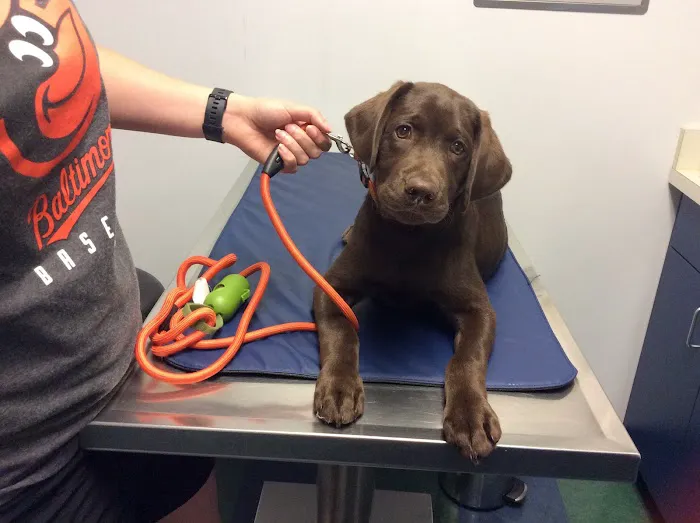 Mercersburg Veterinary Clinic Picture 9