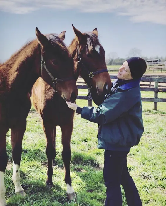 Solstice Equine Veterinary Services Picture 1