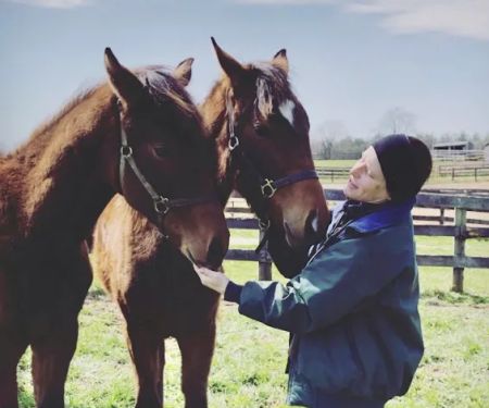 Solstice Equine Veterinary Services