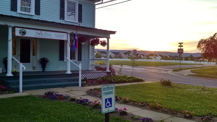 House Paws Animal Hospital Lovettsville Picture 5