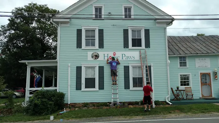 House Paws Animal Hospital Lovettsville Picture 6